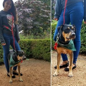 Meet your Posher, Richard